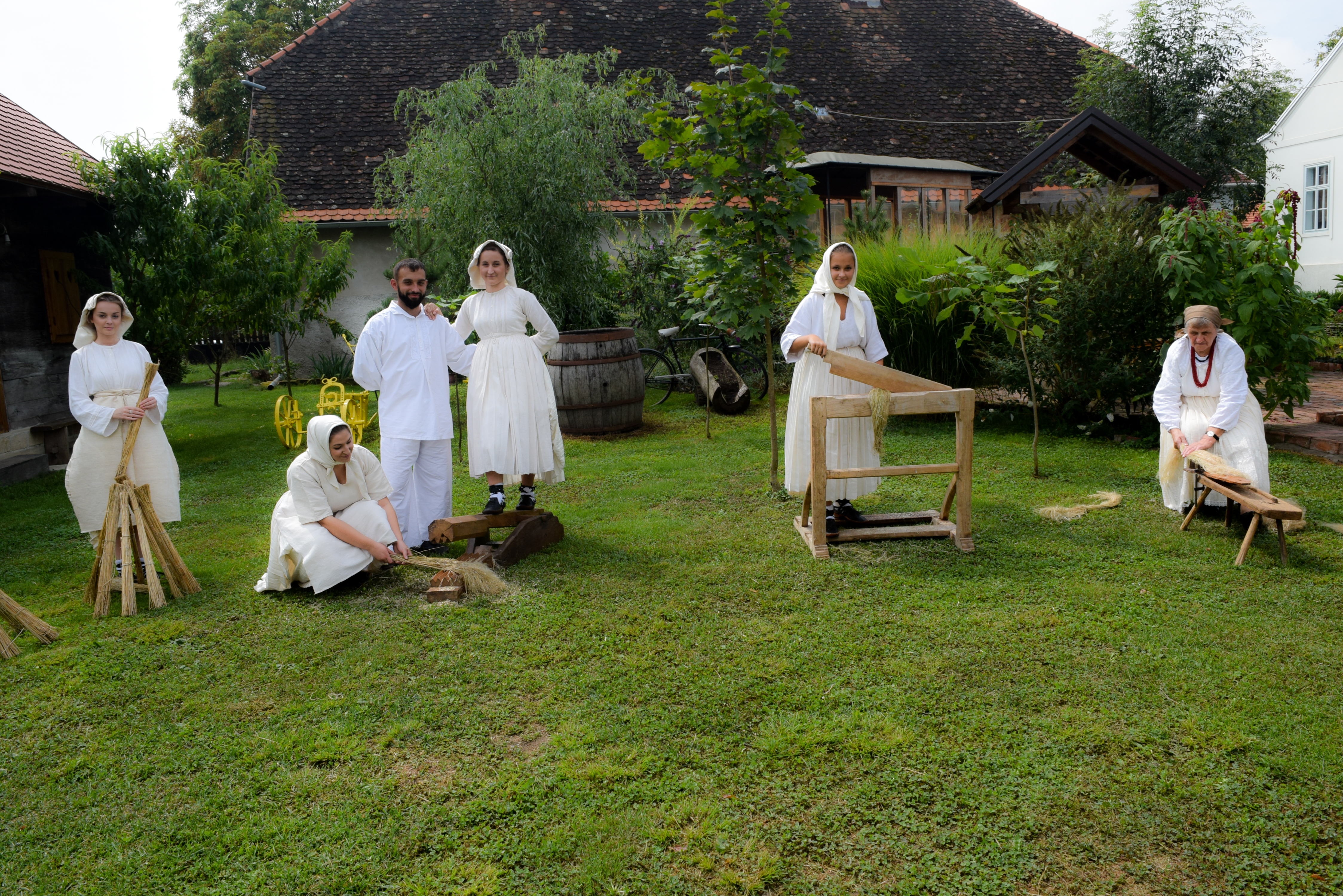 Revitalizacija sjetve lana